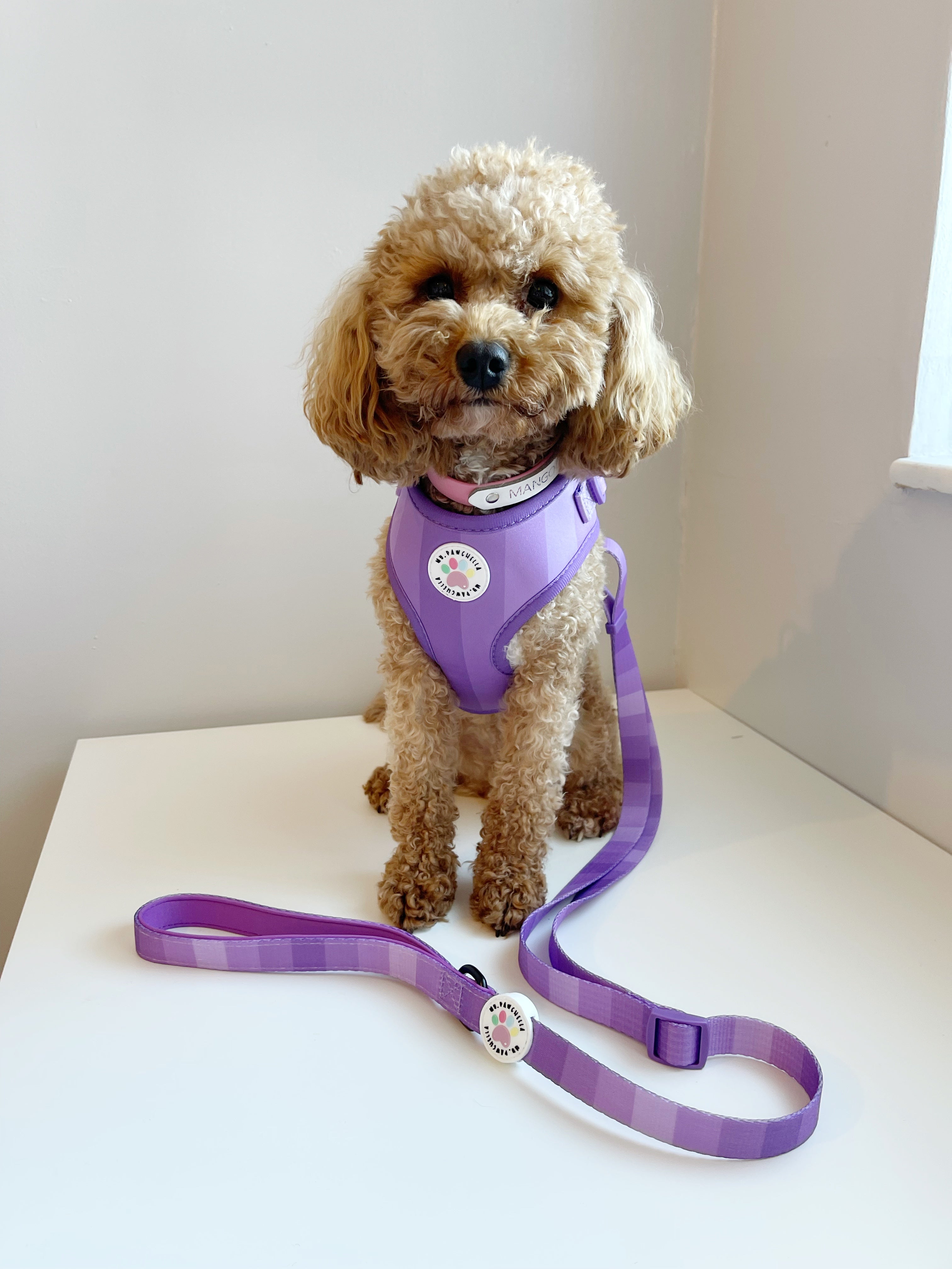 'Shades of Purple' Harness (7302209274025)